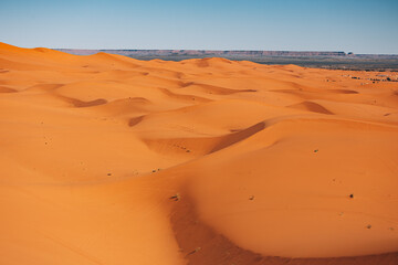 sand dunes in the desert