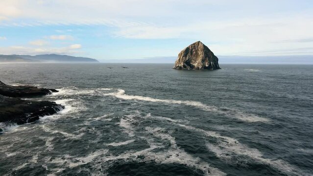 Slow aerial tracking shot of birds flying off the coast from Cape Kiwanda