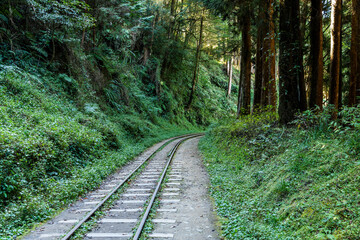 The old forest railway section of the Shuishan Trail at Alishan Forest Recreation Area in Chiayi, Taiwan. Now obsolete and unable to operate.