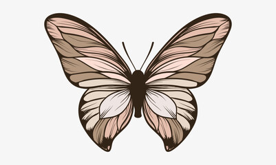 Butterfly design vector illustration. Decorative design elements. Suitable for printing on stationery, mugs, t-shirts, pillows, phone cases. Magnificent exotic spring butterfly.
