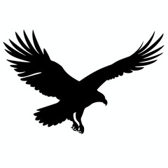 Hawk black icon on white background. Hawk silhouette
