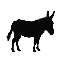 Obraz premium A Donkey Silhouette on White