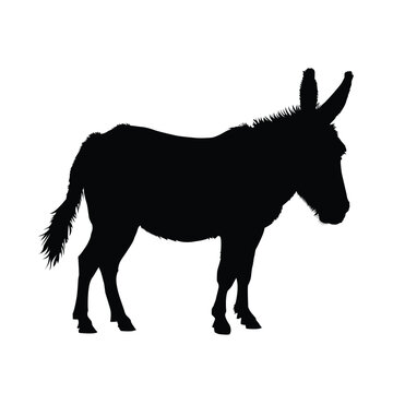 A Donkey Silhouette on White