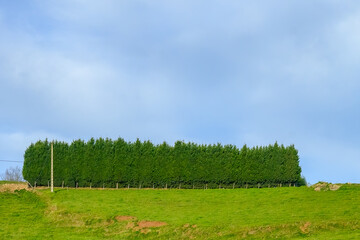 Rural landscape and scenery in Asturias province, Spain