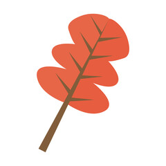 Vector illustration of a autumn leaf