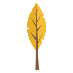 Vector illustration of a autumn leaf
