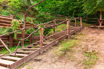 natural wooden stairs in the middle of the forest with railings