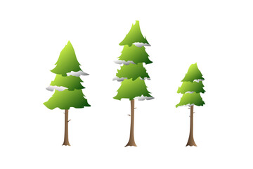 Vector spruce tree several shapes