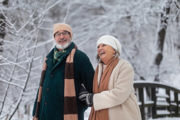 Elegant senior couple walking in the snowy park, during cold winter snowy day. Elderly couple...