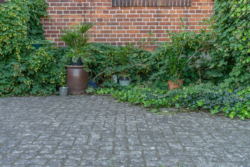 Plants in front of a brick wall

