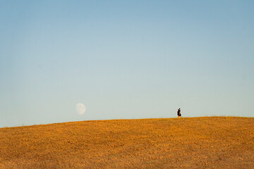 coppia passeggia su collina con dietro enorme luna crescente - obrazy, fototapety, plakaty