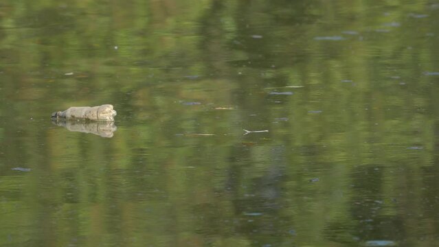 Garbage and plastic waste float on water - (4K)