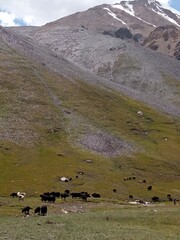 Shimshal Pass Pamir, Shimshal Valley, Northern areas Pakistan