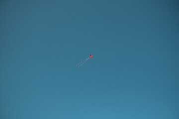 kite in the sky