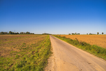 Fototapeta na wymiar Ein gerader und einsamer Weg durch das flache Land mit Feldern.