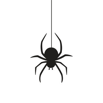 Hanging black spider silhouette for halloween. Spider icon on white background. Vector Illustration