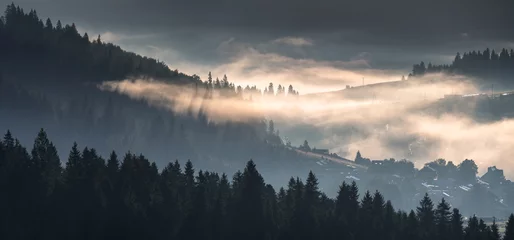 Foto auf gebürstetem Alu-Dibond Wald im Nebel Beautiful sunrise in the picturesque mountains. Picturesque mists rolling in the valleys illuminated by the rays of the rising sun,Pieniny,Poland