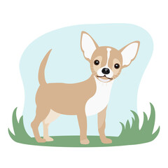 Chihuahua dog on a walk vector illustration. Dog breeding.