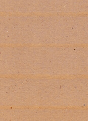 Paper texture, cardboard background close-up