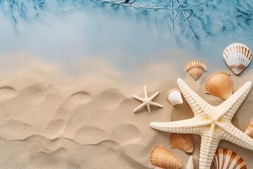 Seashells and Starfish on Sandy Beach with Palm Leaves and Blue Background - Top View