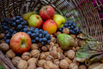 Naklejka na ściany i meble Basket of fruits for Thanksgiving Autumn Season