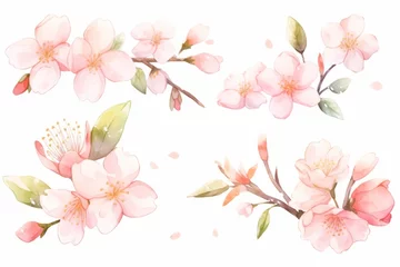 Foto op Canvas Branch of cherry blossom hand drawn watercolor illustration. © Artem