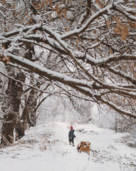 little boy in red hat and coat rides on a retro sleigh in a magical winter forest and sleds. Fairytale Christmas greeting card with baby. Baby in a winter snowy forest among huge trees in the snow