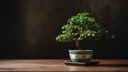 Selbstklebende Fototapeten bonsai plant on the coffee table in the interior © darkhairedblond