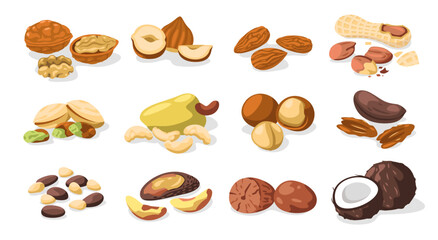 Set of nuts. Cartoon colorful nuts kernels, organic food healthy snack food for vegetarian, vegan diet. Vector isolated collection