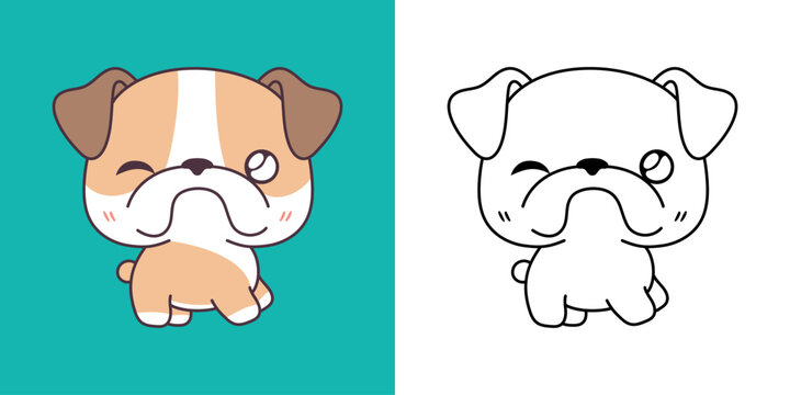 Set Clipart Bulldog Dog Coloring Page and Colored Illustration. Kawaii Isolated Dog. 