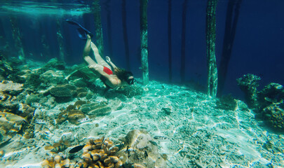Young girl in snorkeling mask dive underwater to see tropical fishes in coral reef sea pool, - obrazy, fototapety, plakaty