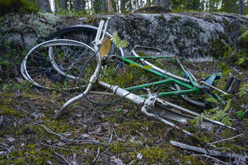 Abandoned broken old bicycle in the forest