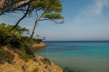 Fototapeta na wymiar notre dame beach in porquerolles island france panorama landscape