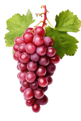Fototapeta premium Fresh grape isolated on a transparent background