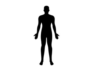 Human body silhouette vector art