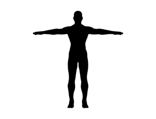 Human body silhouette vector art