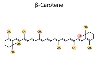Chemical organic formula of beta carotene diagram schematic raster illustration. Medical science educational illustration