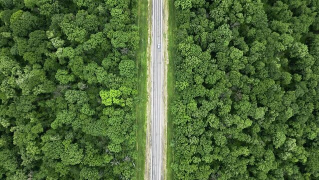 Aerial view of asphalt road with green forest on both sides
