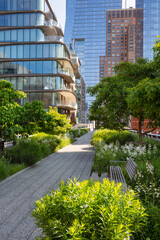 The High Line Park promenade on summer morning. Elevated greenway in Chelsea, Manhattan. New York City