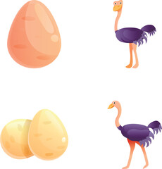 Ostrich icons set cartoon vector. Ostrich bird and big egg. Fauna, largest bird