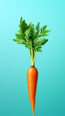 Carrot fresh minimalism bright background realty stock picture Ai generated art