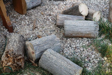 Cut wood logs among splinters