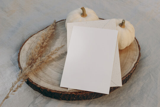 Autumn, winter stationery still life. Closeup of lank greeting card, invitation mockup on cut wooden round board. Dry grass, little white pumpkins on linen table cloth background. Selective focus.