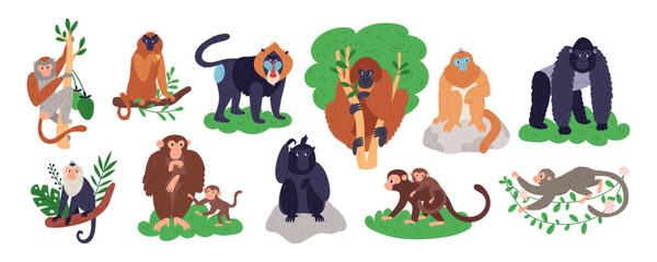 Cartoon monkeys characters. Different breeds primates. Tropical funny mammals. Chimpanzee or baboon. Anthropoids animals. Jungle dwellers. Gorilla and gibbon on branches. Garish vector set © VectorBum