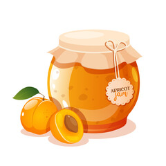 Apricot jam in a glass jar with fresh apricot fruit 
