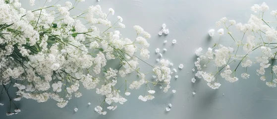 Foto op Plexiglas Sprigs of baby's breath positioned at the soft pastel background. Wedding romantic design, fashion event, glamorous jewellery card.  © Dannchez