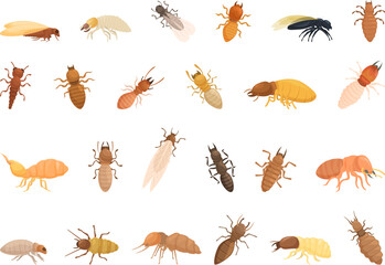 Termite icons set cartoon vector. Nature insect. Soldier pest control
