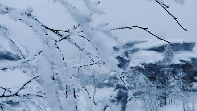 Stone Town in winter in the Perm region. Frozen snow-covered winter forest, deeply covered with snow in sunlight. Forest in the snow. Snowy winter. Trees in the snow in the Stone City. Russia. 4К