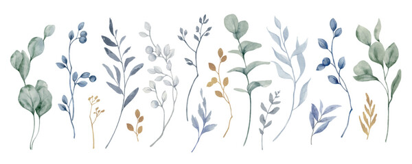 Watercolor vector set of dusty blue twigs and eucalyptus branches.