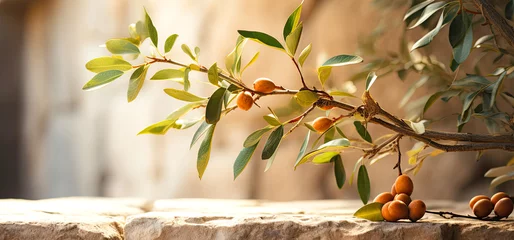 Fototapeten olive branch on stone wall, summer harvest of olives for oil, web banner © Kseniya